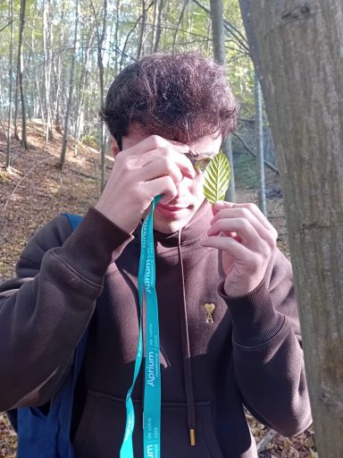 Un participant observe une feuille d'arbre avec une loupe de botanique, dans une forêt.